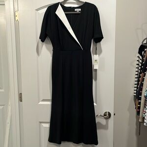 NWT Calvin Klein Dress